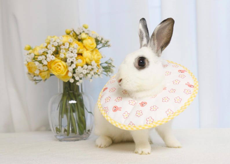 Puede incluir: Un conejo blanco con un collar estampado, con un ramo de rosas amarillas y paniculata en un jarr&oacute;n de cristal transparente. El collar tiene un fondo blanco con dise&ntilde;os de conejos y flores rosas, y un ribete de cuadros amarillos.