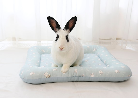 Fluffy Bed for Bunny Small Pet Cat Bed Puppy Bed Ikea Doll