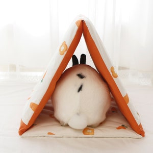 Pet Mini House for Bunny and Guinea pig (Carrot)