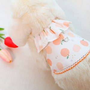以下が含まれることがあります： 白い犬が、白地に桃色のプリントが施された、桃色のフリル付きハーネスを着用しています。ハーネスは白いレースの縁取りと銀色の金属製のリングが付いています。