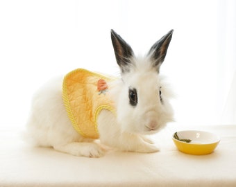 Puede incluir: Un conejo blanco con un chaleco acolchado amarillo con un diseño floral, mirando un tazón amarillo con comida verde sobre una superficie blanca.