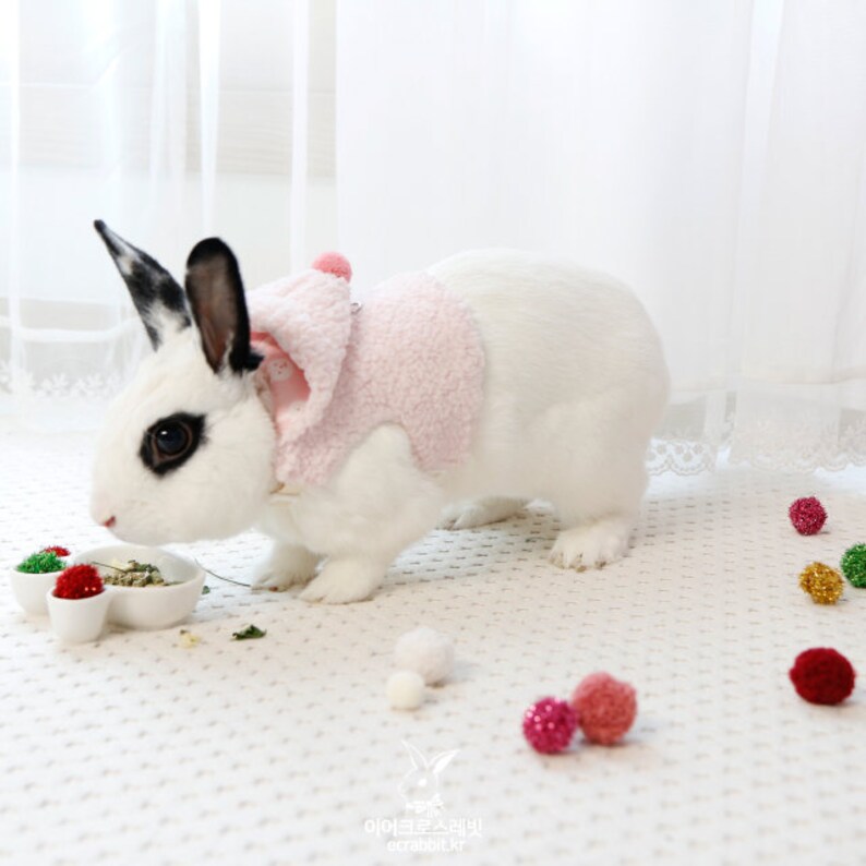 Hood Harness for Only Rabbit/bunny Etsy