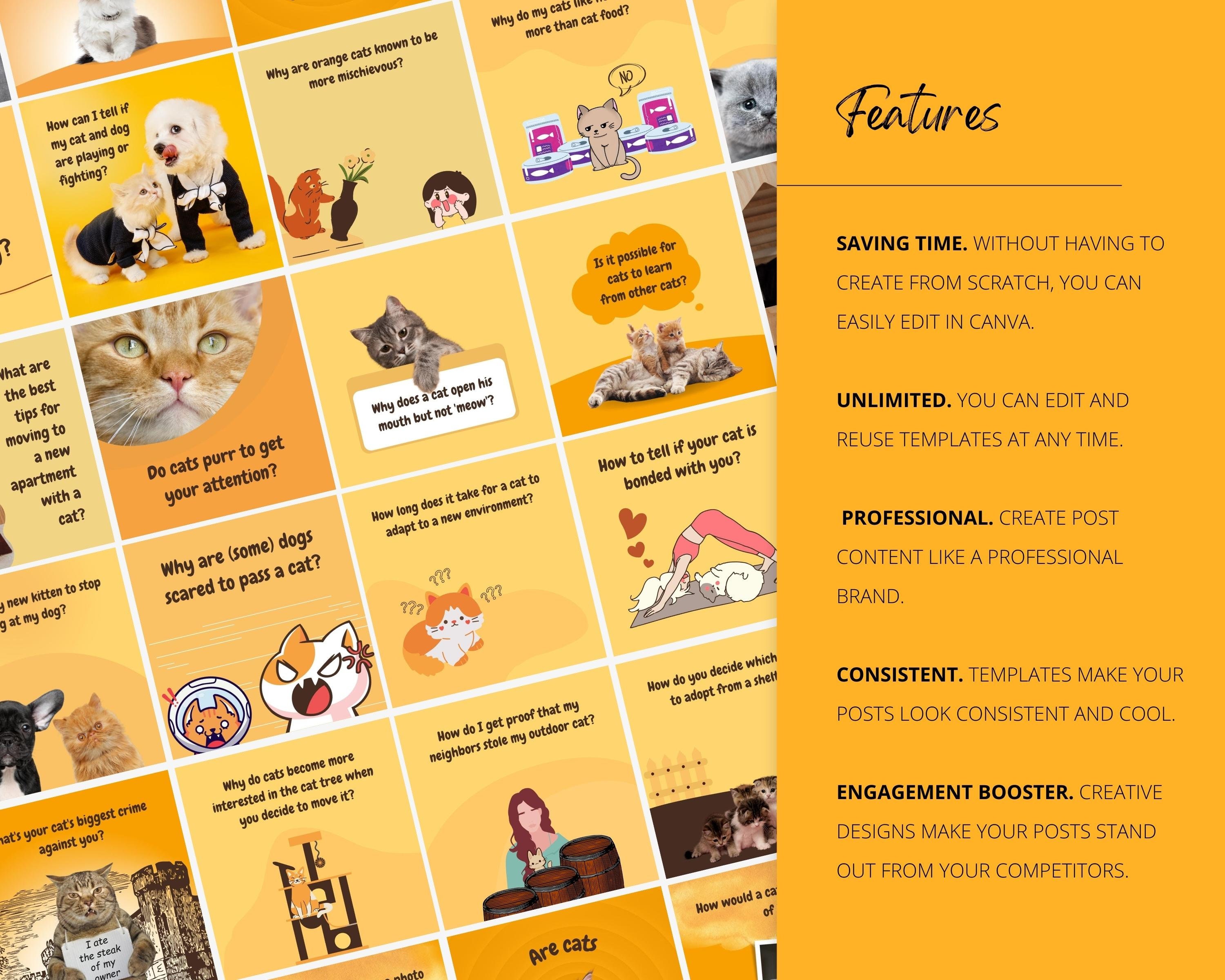 Pet Shop Instagram Content Social Media Pet Engagement - Etsy