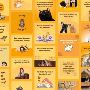 Pet Shop Instagram Content, Social Media Pet Engagement Question, Cat ...