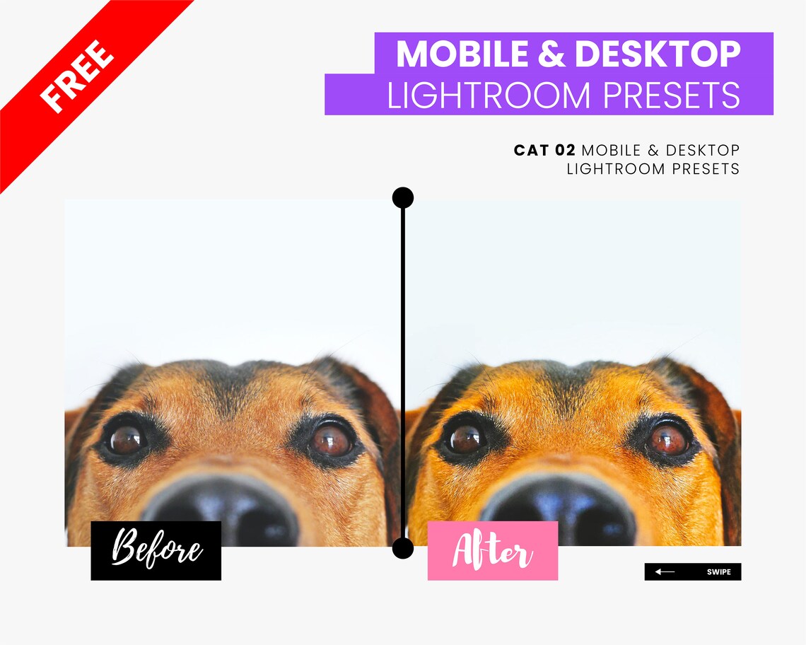 PETS ENGAGEMENT BOOSTER Instagram Post Template Pet Shop | Etsy