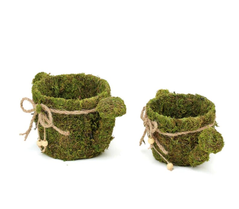 Moss Planter Preserved Moss Watering Can Planter Box With Natural Braided Twine Bow 11 & 10 Set ...