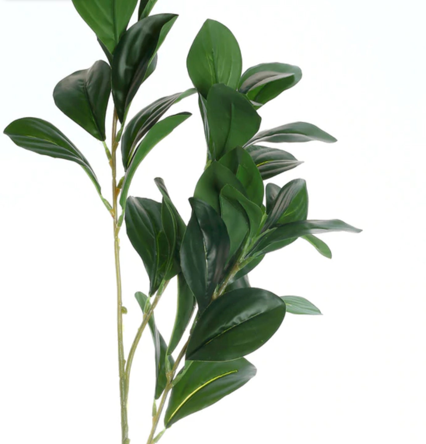 Faux Lemon Leaves 26 Green Artificial Lemon Leaf Etsy