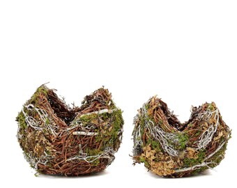 Moss Planter Bird Nest Shape Rustic Twigs Moss Planter Box - 10" & 8" Set of 2