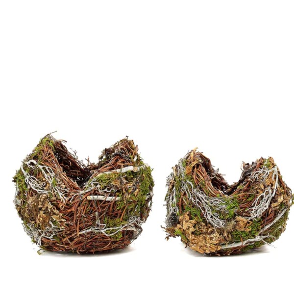 Moss Planter Bird Nest Shape Rustic Twigs Moss Planter Box - 10" & 8" Set of 2