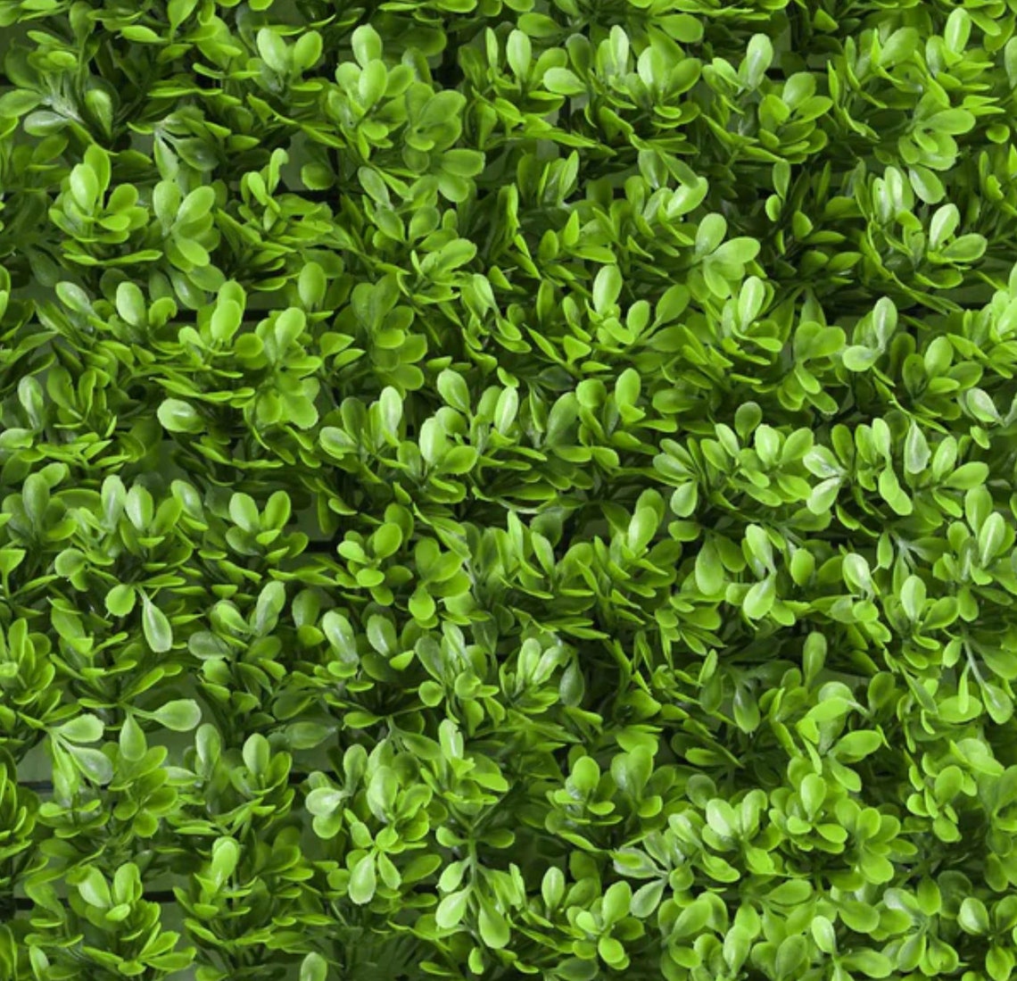 Faux Green Backdrop 11 Sq Ft. 4 Panels Lime Green Boxwood - Etsy