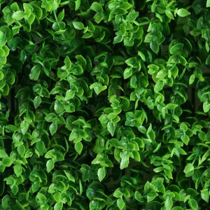 Faux Green Backdrop 11 Sq Ft. 4 Panels Baby Green Boxwood Hedge Garden ...