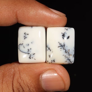 May include: Two white agate cabochons with black dendritic patterns. The cabochons are rectangular and have a smooth, polished surface.