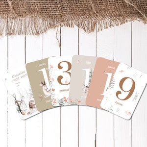 Carte Palco Animali del Bosco - Acquarello - Nascita - Bebè - Famiglia - Souvenir - Cancelleria - Il mio primo anno - Le mie prime volte