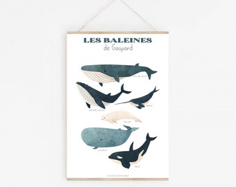 Affiche enfant - Les baleines - Monde marin - Baleine - cadeau personnalisé - Naissance - Anniversaire - Chambre enfant - Décoration