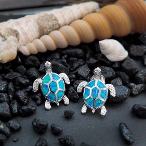 May include: A pair of silver-toned turtle earrings with blue and turquoise mosaic-patterned shells. The earrings are set against a backdrop of black stones and seashells.