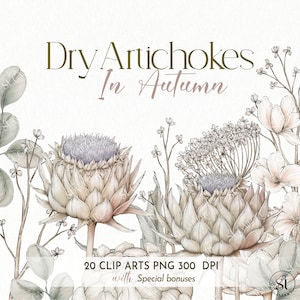 Dry Artichoke flowers, Autumn flower, flower elements, boho wedding, floral arrangement, invite card, Digital clipart PNG, Digital download