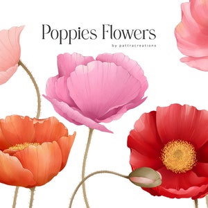 Aquarelle de fleurs de coquelicot, clipart de fleurs, éléments floraux, téléchargement numérique, fichier PNG, clip art