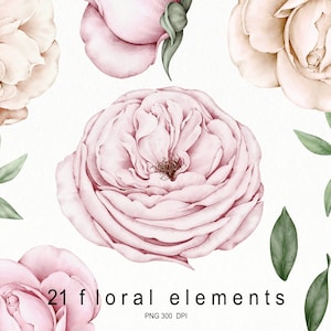 Cores de água de flores rosas, elementos de flores, arranjo floral, presente, cartão de convite, clipart floral digital PNG, download digital