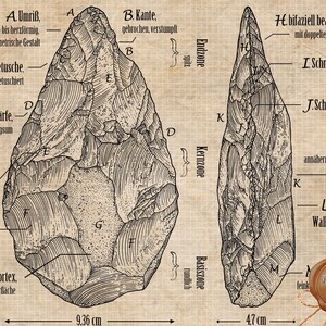 Pode incluir: Um desenho a preto e branco de duas machadinhas de m&atilde;o, etiquetadas com termos anat&oacute;micos em alem&atilde;o. As machadinhas de m&atilde;o medem 9,36 cm e 4,7 cm de comprimento.