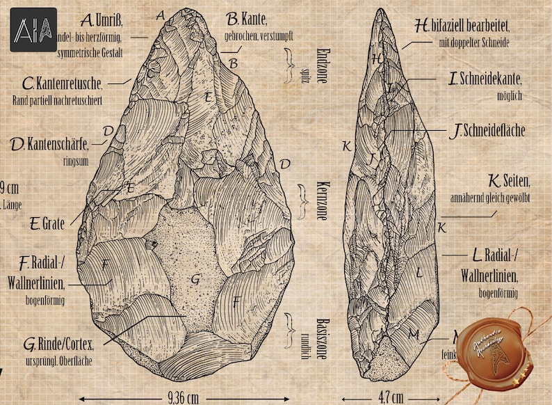 Pode incluir: Um desenho a preto e branco de duas machadinhas de m&atilde;o, etiquetadas com termos anat&oacute;micos em alem&atilde;o. As machadinhas de m&atilde;o medem 9,36 cm e 4,7 cm de comprimento.