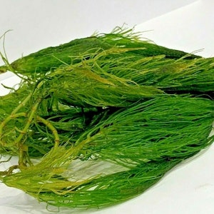 May include: A bunch of bright green aquatic plants with long, thin leaves. The plants are arranged in a loose pile on a white surface.