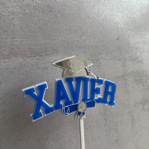 Graduation Cake Topper, Personalized Cake Topper, Graduation Parties, Class of 2025, Personalized Graduation Decor