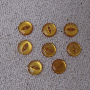 May include: Nine amber buttons with three holes each. The buttons are round and have a smooth, glossy finish.