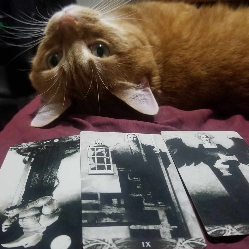 以下が含まれることがあります： 白黒のイラストが描かれたタロットカードが3枚。左のカードは剣を持った人物が描かれている。真ん中のカードは長いひげと王冠をつけた人物が描かれている。右のカードは翼と王冠をつけた人物が描かれている。カードは赤い表面に置かれ、その上に生姜色の猫が横たわっている。