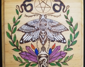 The Serpents & The Moth - Hand Burned Wall Art