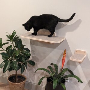 May include: A black cat walks on a beige cat shelf mounted on a white wall. Two potted plants are on the floor below the shelf. One plant has green leaves and the other has green leaves and a red flower.