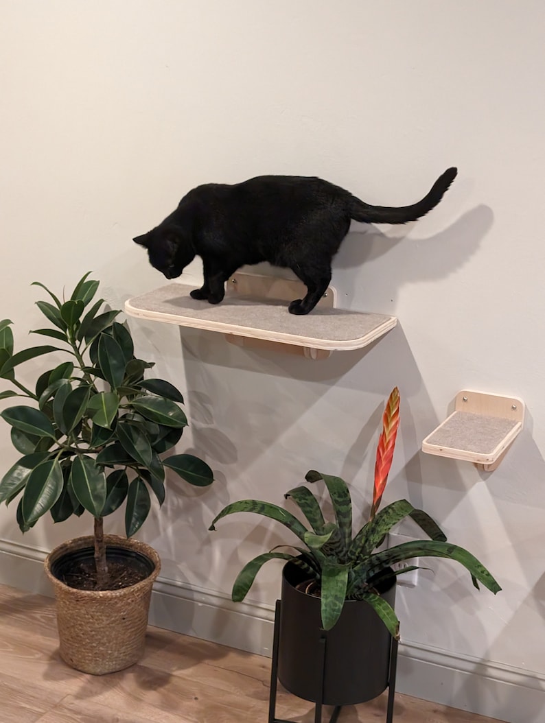 May include: A black cat walks on a beige cat shelf mounted on a white wall. Two potted plants are on the floor below the shelf. One plant has green leaves and the other has green leaves and a red flower.