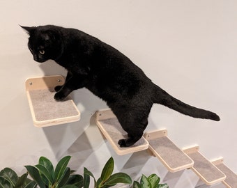 May include: A black cat climbing a set of wooden cat shelves mounted on a white wall. The shelves are covered in a light gray fabric. The cat is looking down at the shelves below. There are two potted plants in the lower right corner of the image.