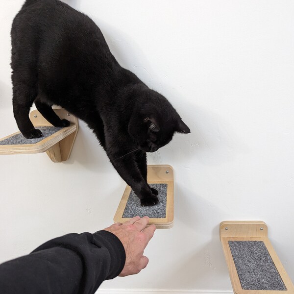 Cat Wall Steps Etsy