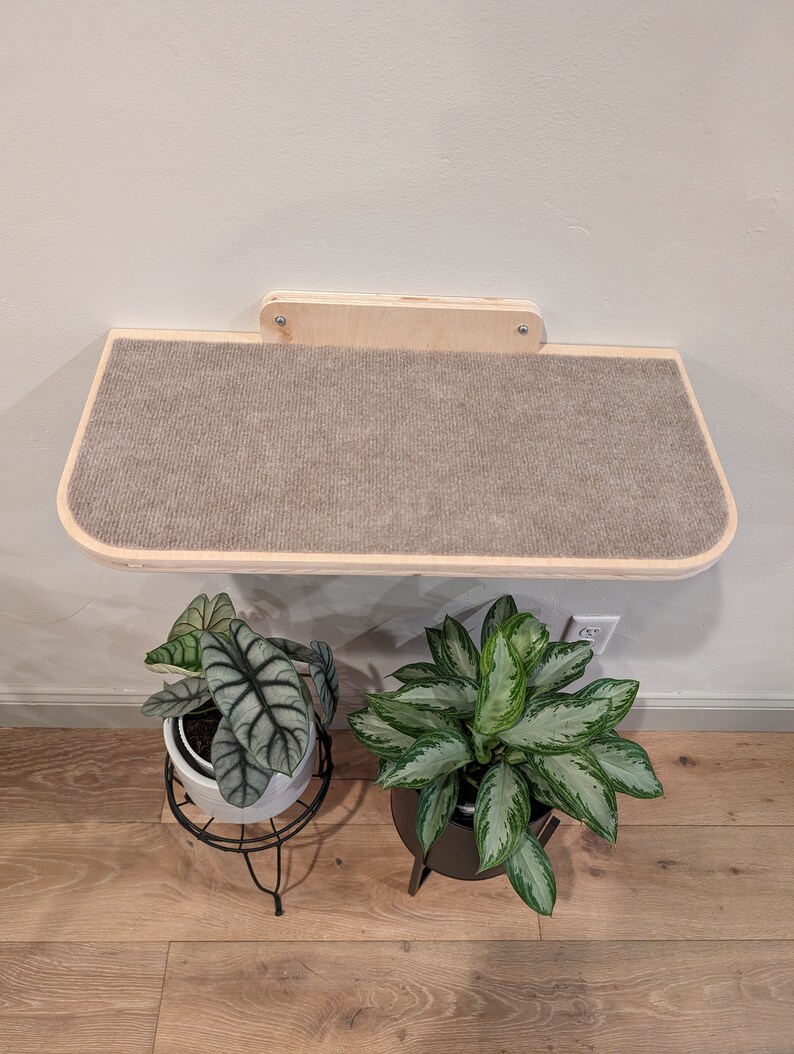 May include: A wall-mounted cat shelf with a brown carpet surface. The shelf is made of wood and has a light wood finish. Two potted plants are in the foreground, one with green and white leaves and the other with dark green leaves.