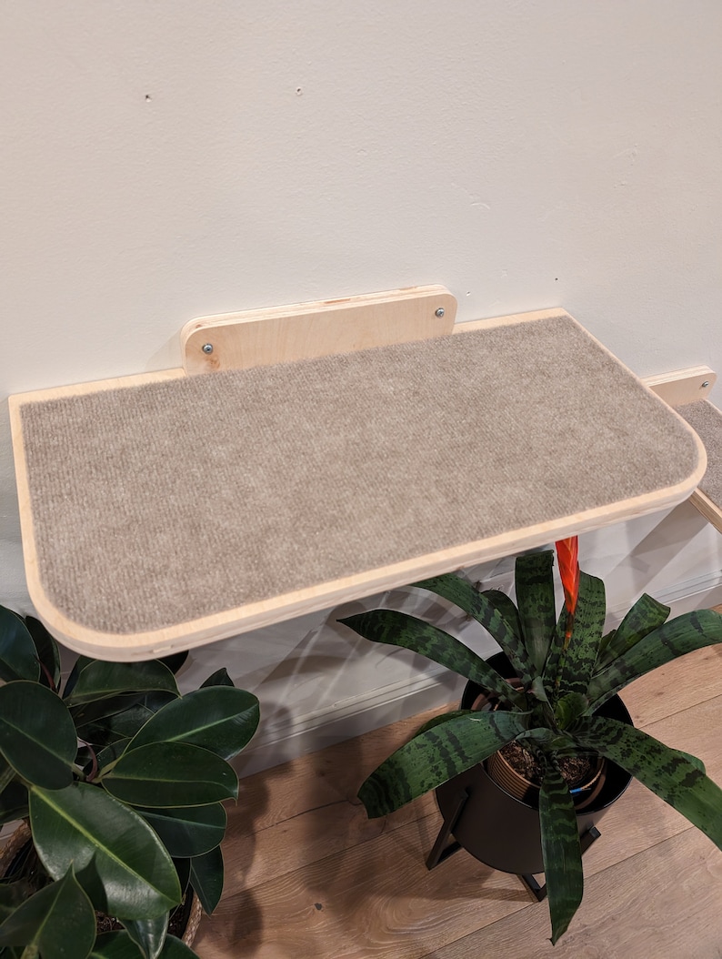 Cat wall bed, Cat shelf, Cat platform, Cat furniture cat bed steps image 7