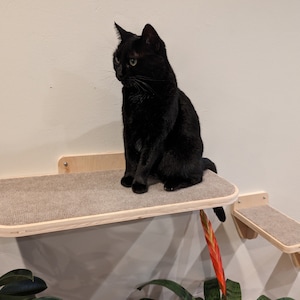 May include: A black cat sits on a wooden cat shelf attached to a wall. The shelf has a beige carpet-like surface. The cat is looking to the left of the image.