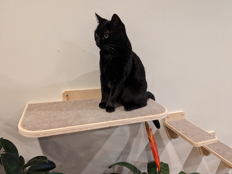 May include: A black cat sits on a wooden cat shelf attached to a wall. The shelf has a beige carpet-like surface. The cat is looking to the left of the image.
