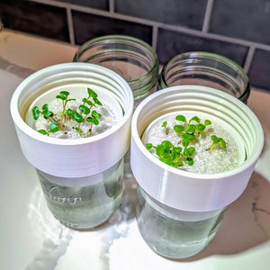 Indoor herb garden | mason jar connector