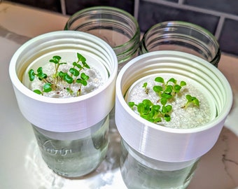 May include: Three glass jars with white lids, each containing a small plant growing in a white foam disc. The jars are on a white countertop.