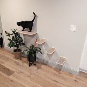 May include: A black cat sits on a wooden cat shelf attached to a white wall. The cat shelf is part of a set of four shelves, all made of wood and attached to the wall. The shelves are arranged in a staircase pattern, with the top shelf being the highest. The shelves are all covered in a light brown fabric. The cat is looking down at the lower shelves. There are two plants in pots on the floor below the shelves.