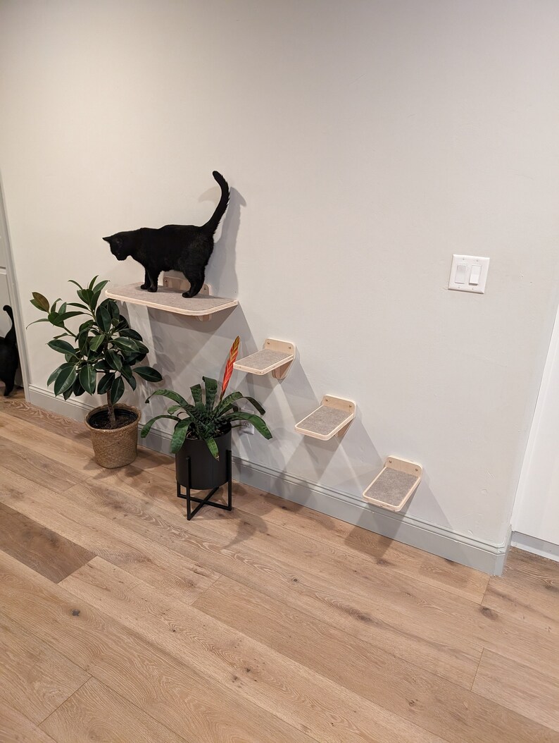 May include: A black cat sits on a wooden cat shelf attached to a white wall. The cat shelf is part of a set of four shelves, all made of wood and attached to the wall. The shelves are arranged in a staircase pattern, with the top shelf being the highest. The shelves are all covered in a light brown fabric. The cat is looking down at the lower shelves. There are two plants in pots on the floor below the shelves.