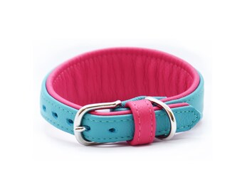 Eine Zusammenfassung der Top Hundehalsband pink