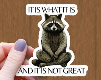 Waschbär Vinyl Aufkleber, It Is What, Mental Gesundheit Aufkleber