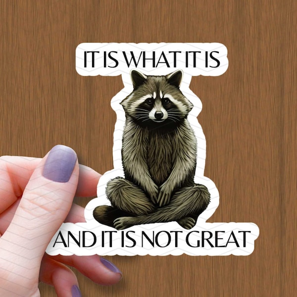 It Is What It is and It Is Not Great Waterproof Glossy Sticker, Raccoon Vinyl Stickers, Mental Health Gift, Anxiety Sticker, Self Care Decal