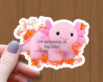 May include: A pink axolotl plush toy with a smiling face is on fire. The text "i'm seriously at my limit" is written below the axolotl.