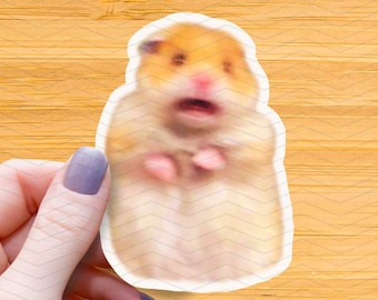 May include: A sticker of a hamster with a surprised expression, with its mouth open and its eyes wide. The hamster is brown and white and has a pink nose.