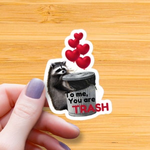 To Me You are Trash Raccoon Waterproof Glossy Sticker, Raccoon with Heart Balloon Vinyl Stickers, Raccoon Lover Decal, Valentines Day Gift