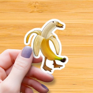 Banana Duck Because It&#39;s Funny Waterproof Glossy Sticker, Funny Duck Meme Sticker, Weird Vinyl Sticker, Animal Unique Gift, Duck Lover Decal