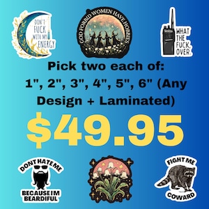 May include: A selection of colourful, laminated stickers featuring diverse designs such as a crescent moon, three witches, a walkie-talkie, a raccoon, a beard, and flowers. Text includes "Don't Fuck With My Energy" and "God Forbid Women Have Hobbies".