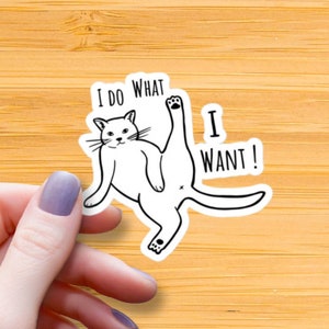 I Do What I Want Cat Waterproof Glossy Sticker, Funny Cat Sticker, Lazy Cat Vinyl Sticker, Gift for Cat Lovers, Crazy Cat Lady Decal, Kitten